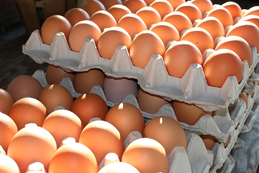 fresh eggs, home grown eggs, agriculture, egg, food, food and drink, large group of objects, egg carton, brown, freshness