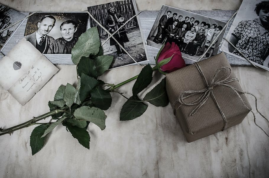 grayscale photography, red, rose, box, pictures, memories, flower, history, family, grandma
