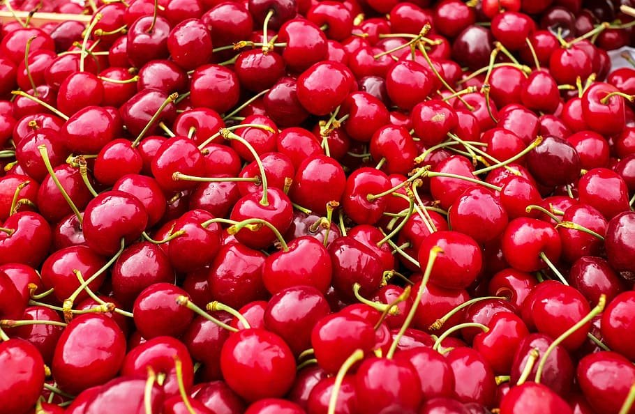 bunch, red, cherries, sweet cherries, heart cherries, fruit, fruity, food and drink, food, freshness