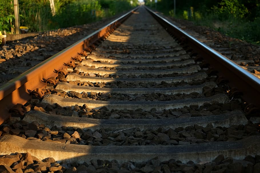 pessoa, tomada, foto, trem, trilhos, via férrea, parecia, trilhos de trem, infinito, solidão