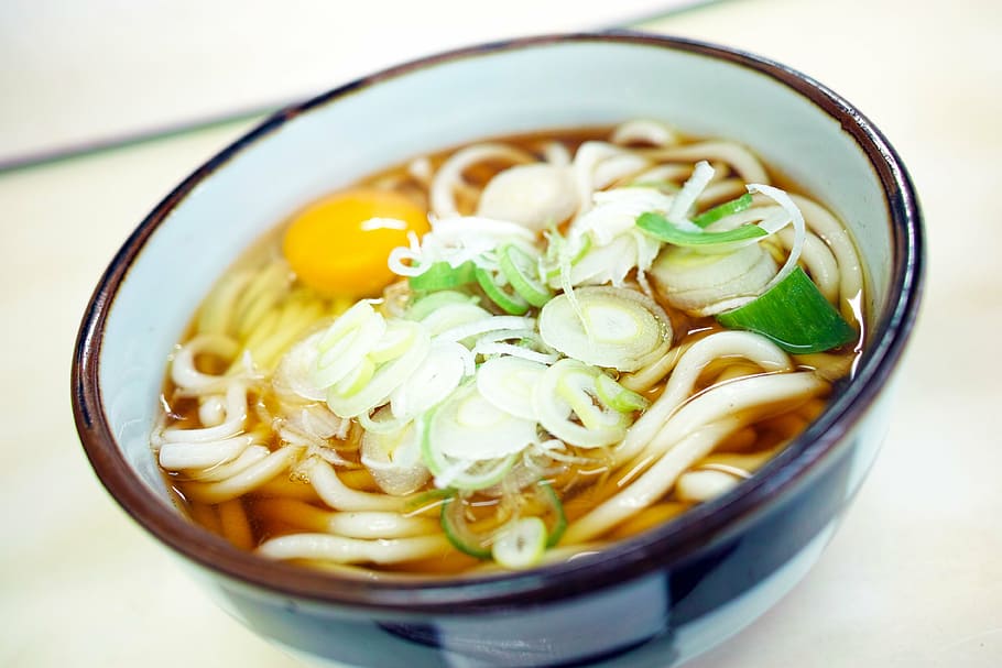 noodles, inside, white, bowl, japanese food, japan food, udon noodles, restaurant, soy sauce udon, raw eggs