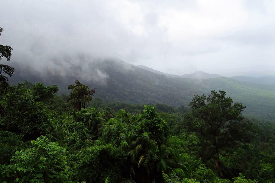 montanhas, nublado, céu, floresta tropical, parque nacional de mollem, ghats ocidental, vegetação, nuvens, orográficas, chuvoso