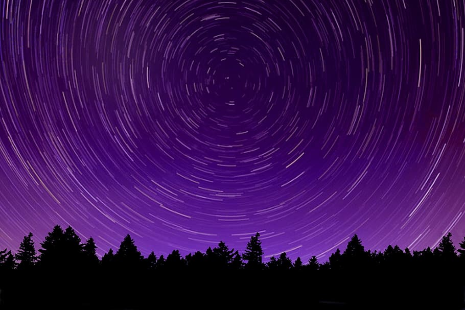 星 空 夜 夜空の星 夜空 自然 スタートレイル 紫色の空 バンクーバー島 森 Pxfuel