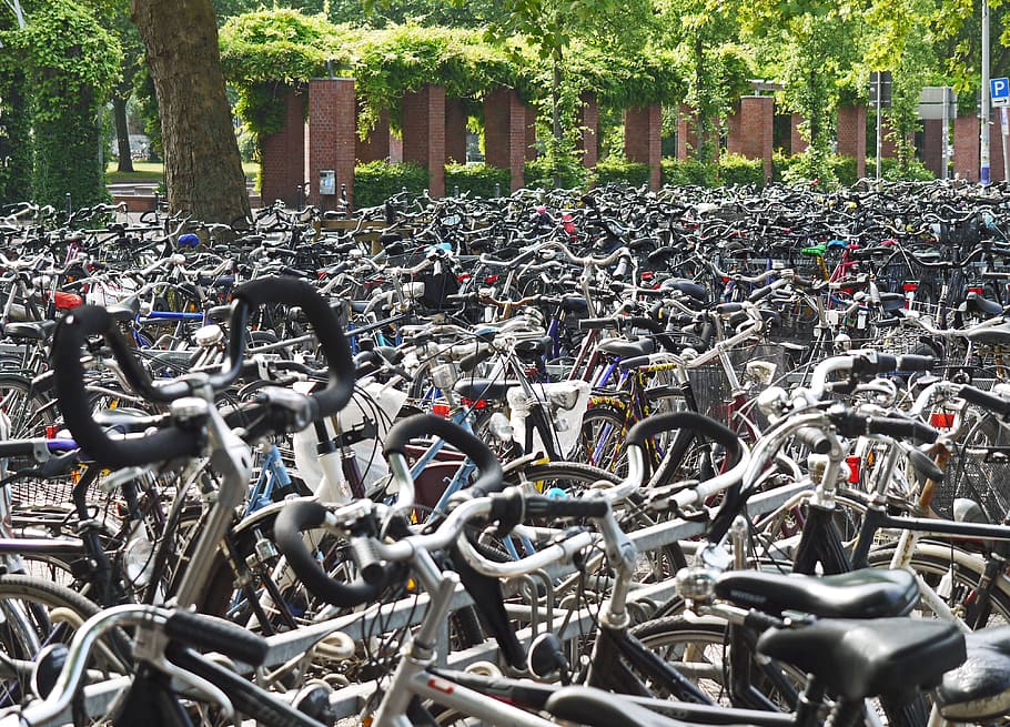 assorted-color bike, parked, green, leaf trees, daytime, cyclemania, abstellanlage, bike racks, park, central station