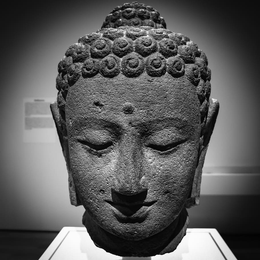 Head, Buddha, scale, photography, headbust, sculpture, representation, human representation, statue, art and craft