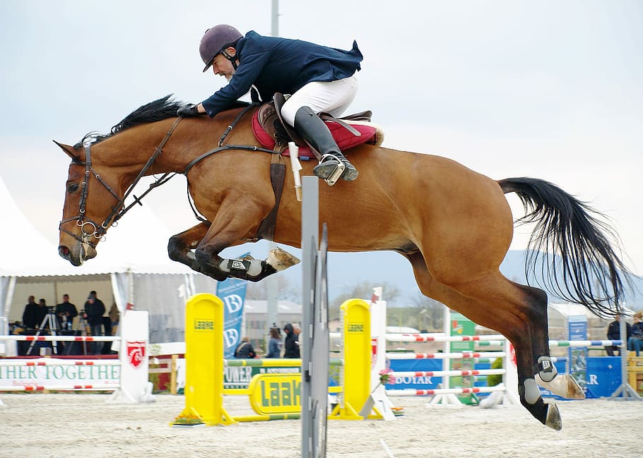 Cavaleira cavalgando em cavalo marrom e pulando a cerca na arena