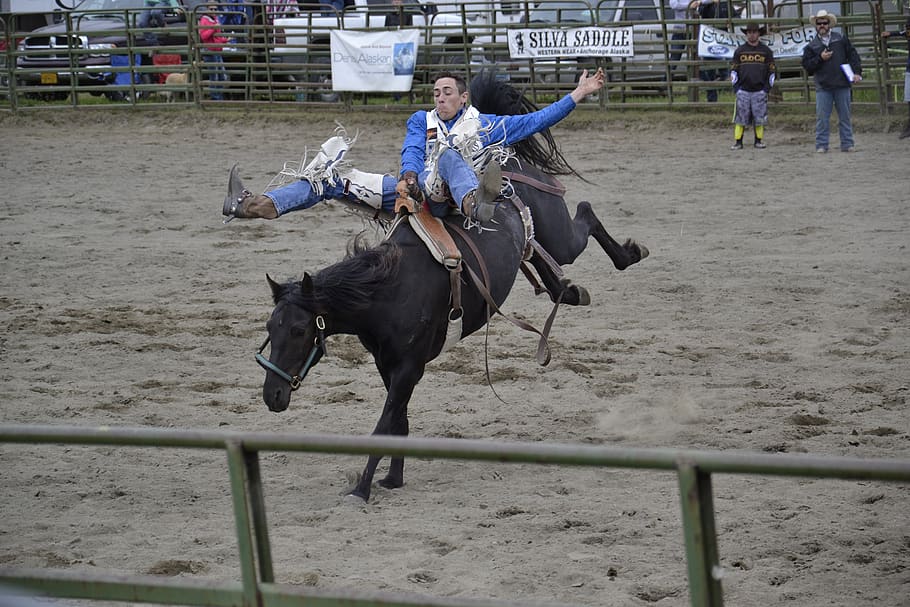 rodeo, horse, alaska, cowboy, equestrian, animal, arena, fast, rope, bucking