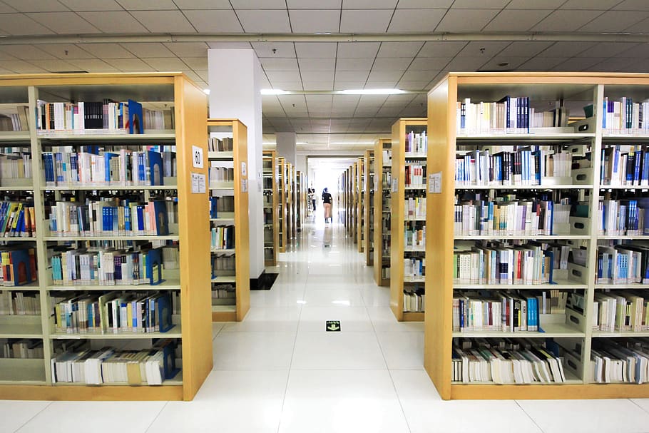 livro, livros, biblioteca, campus, conhecimento, cultura, ciências humanas, professor, estante de livros, interior
