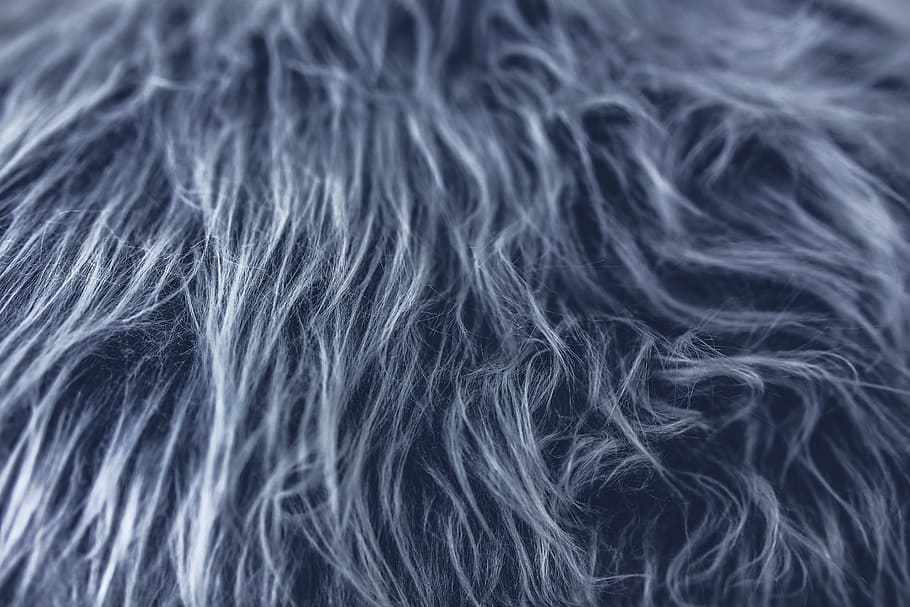 close-up photo, gray, animal fur, fur, grey, texture, fabric, designer, hair, backgrounds