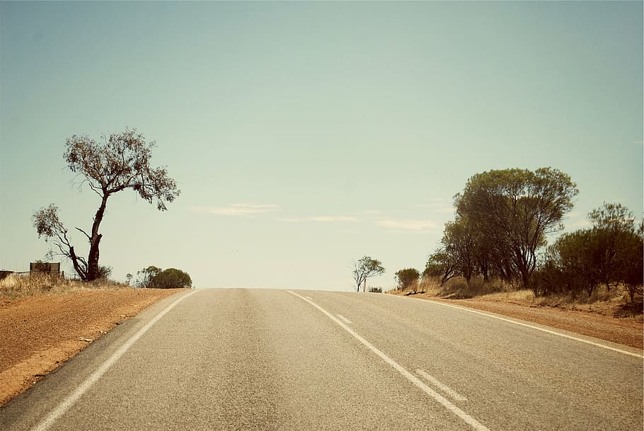 gray, road, trees, grey, top, daytime, rural, sky, the way forward, transportation