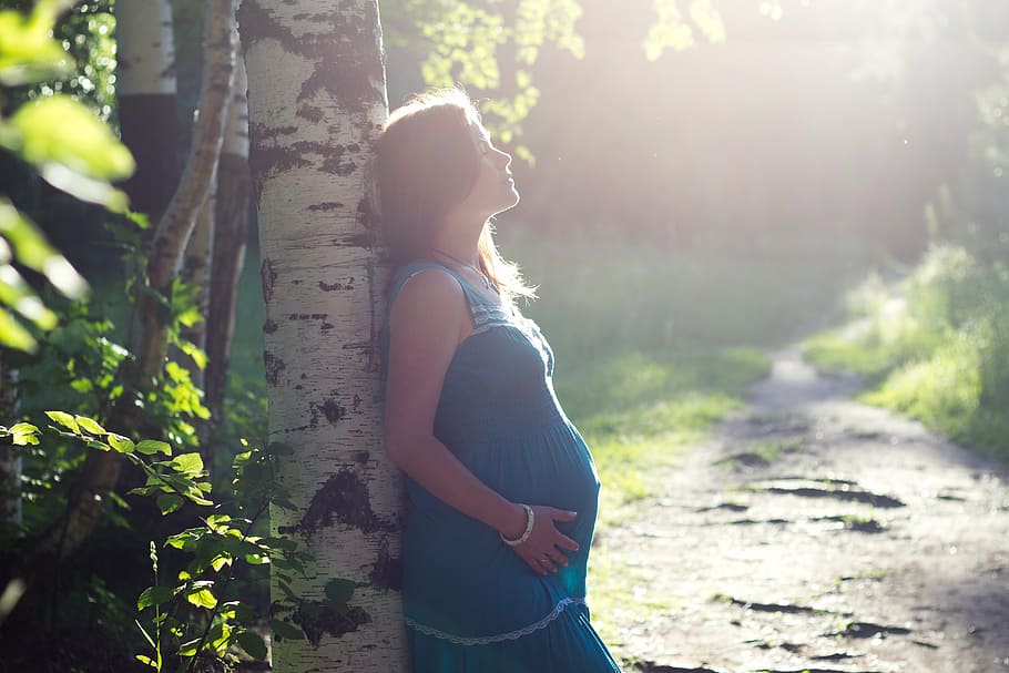 pregnant, woman, leaning, tree, birch, family, tummies, pregnancy, stand by, love