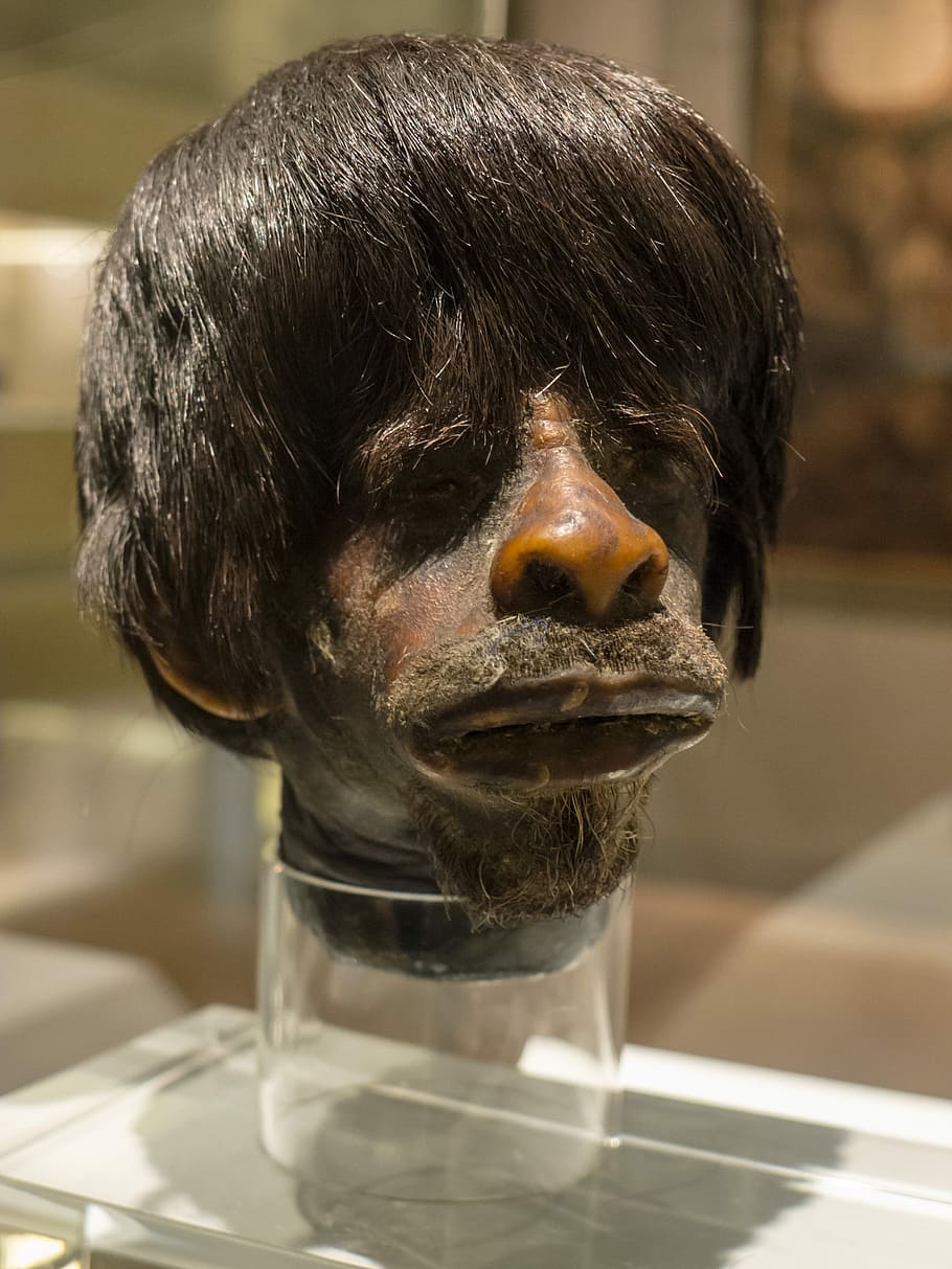Head, Indian, Jíbaro, Face, Death, expedition, amazonia, america, indoors, one animal