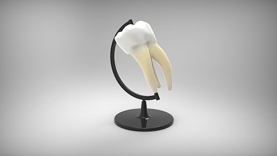 white, human, tooth, black, stand, globus, dentistry, fun, dentist, the background