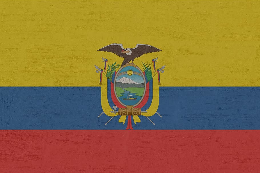 에콰도르, 깃발, 벽-건물 특징, 노랑, 미술 및 공예, 일, 독창성, 멀티 컬러, 벽화, 표현