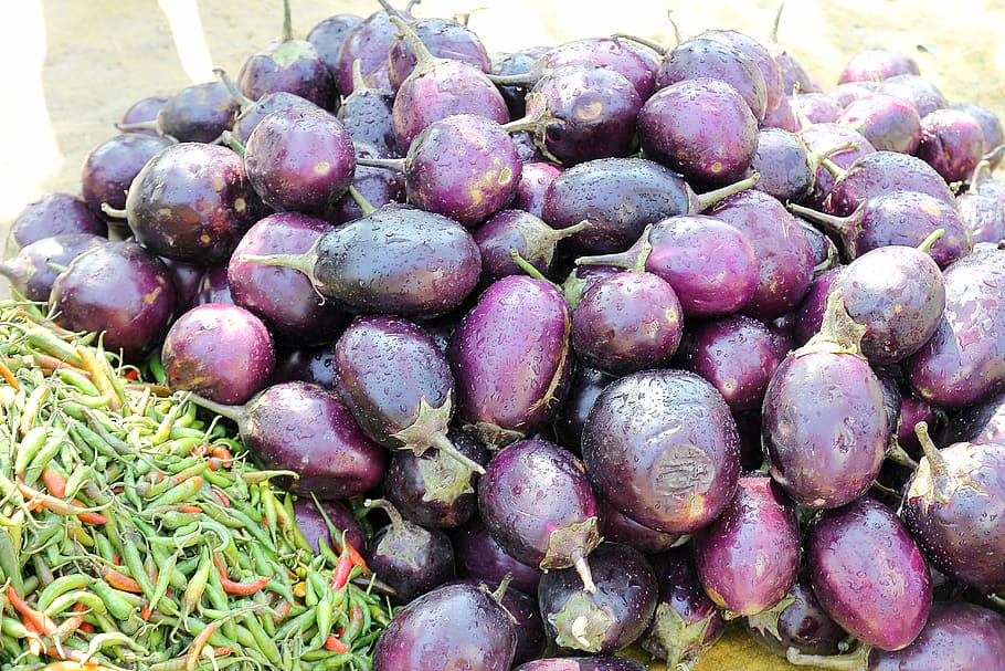 eggplant, indian, brinjal, aubergine, food, fresh, vegetable, culinary, cuisine, tasty