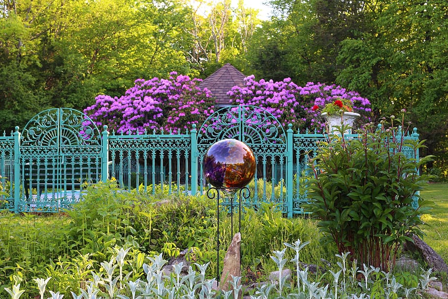 jardín de la cabaña, jardín, rododendro, bola de observación, naturaleza,  cabaña, flores, flora, jardín victoriano, valla victoriana | Pxfuel