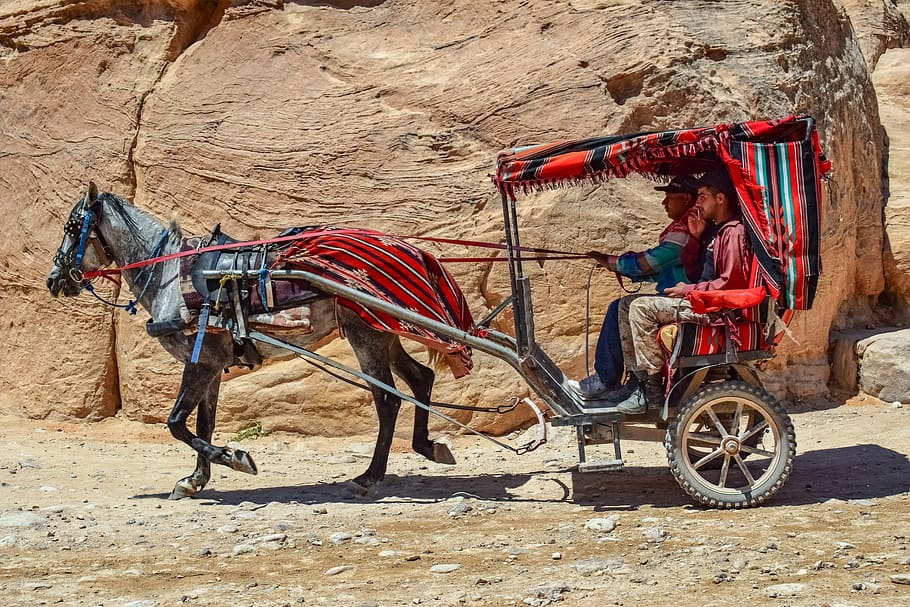 coach, carriage, al siq canyon, horse, transport, wagon, transportation, desert, travel, tourism