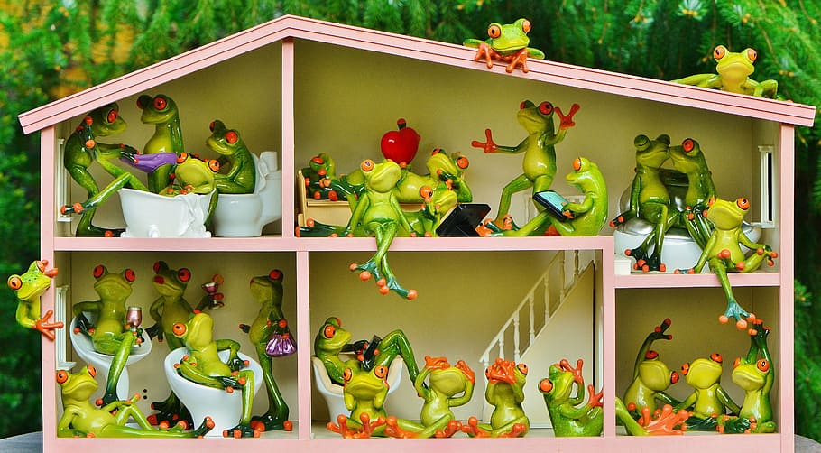 Figurinhas de sapo verde, sapos, engraçados, casa, residentes, apartamento compartilhado, viver, fofo, animal, figura