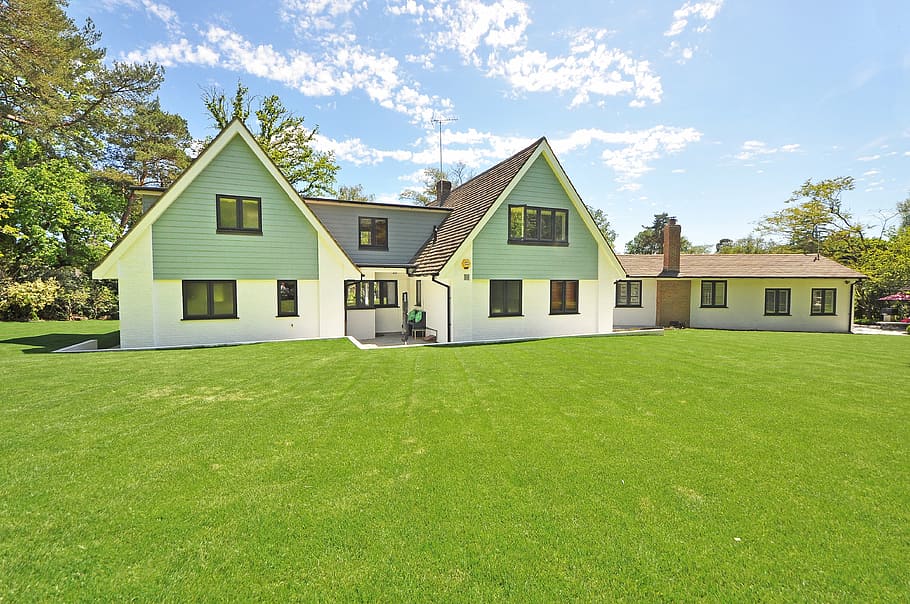 white, painted, house, surrounded, trees, beautiful home, garden, new england style, landscaping, gardening