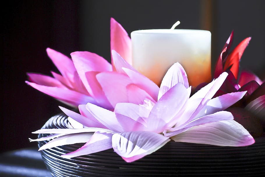 selective, focus photography, white, pillar candle, purple, lily flowers accent, candle, flower, petals, lavender