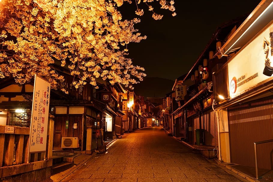 street during night, street, japan, city, asian, travel, scene, night, light, road