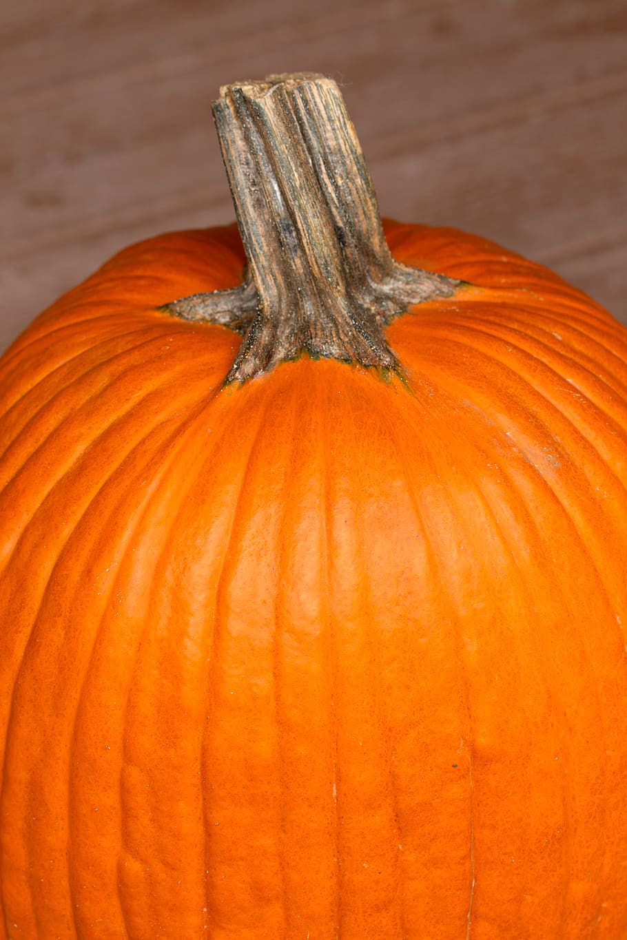 autumn, pumpkin, fall, harvest, farm, country, seasonal, organic, ripe, raw