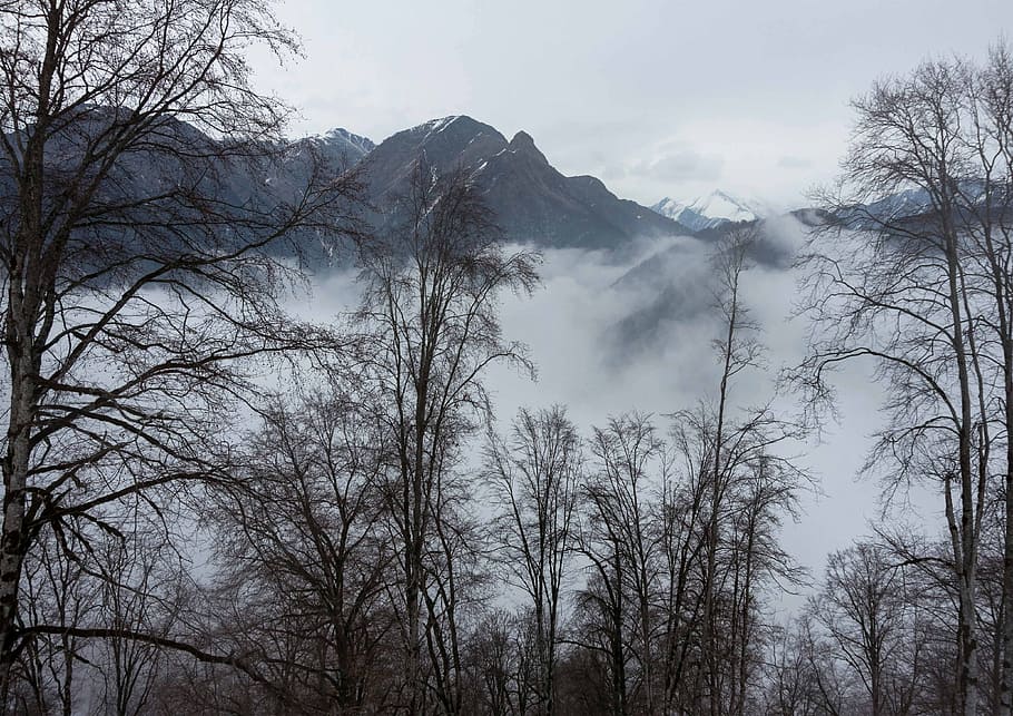 invierno, azerbaiyán, bosque, niebla, paisaje, nubes, frío, nieve, montañas, temporada