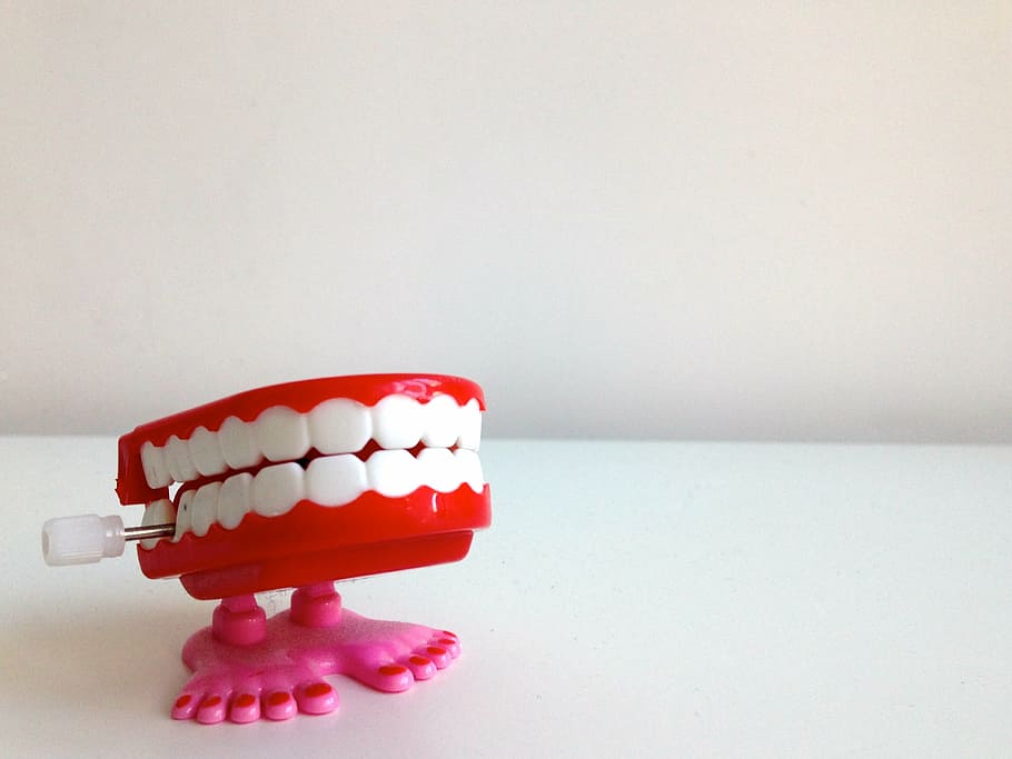 denture wind-up toy, toy, mouth, teeth, indoors, copy space, dental health, single object, studio shot, healthcare and medicine