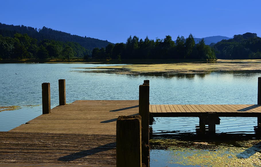 brown, wooden, dock, body, water, daytime, jetty, lake, bank, waters