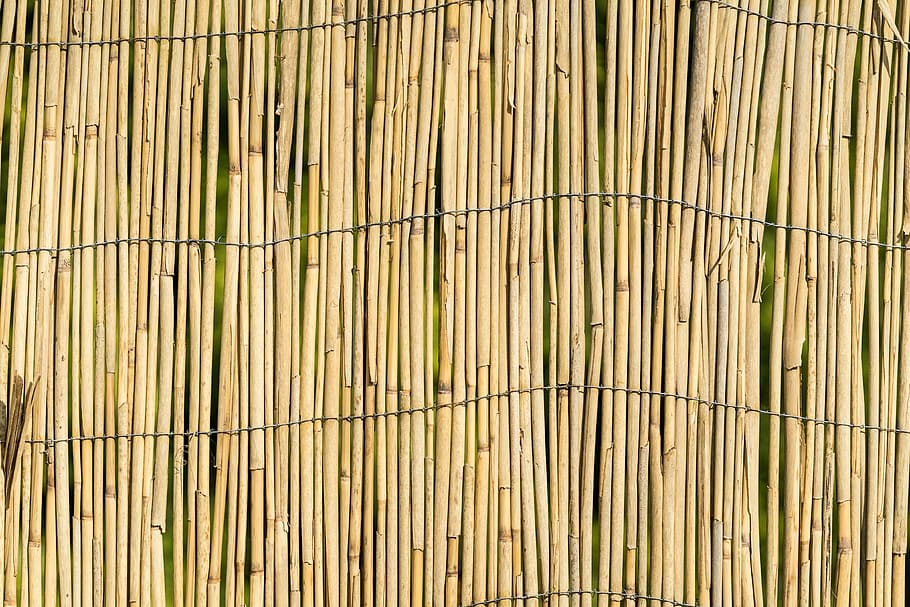 Jardín, bambú, pared, valla, textura, fondo, patrón, privacidad, espacio para texto, simple