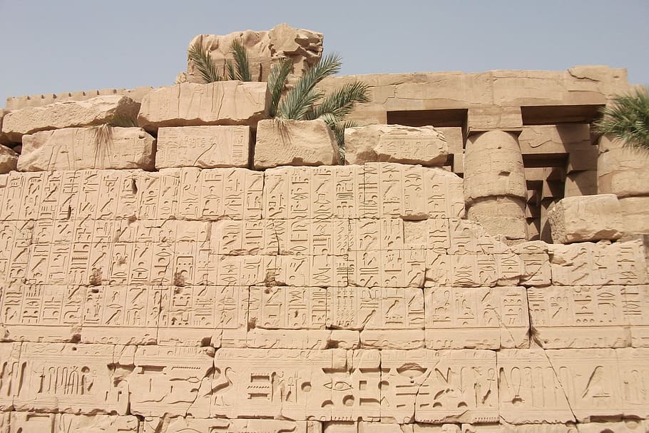 jeroglíficos, personajes, pago, egipto, antiguo, históricamente, inscripción, imposición, licencia, documento