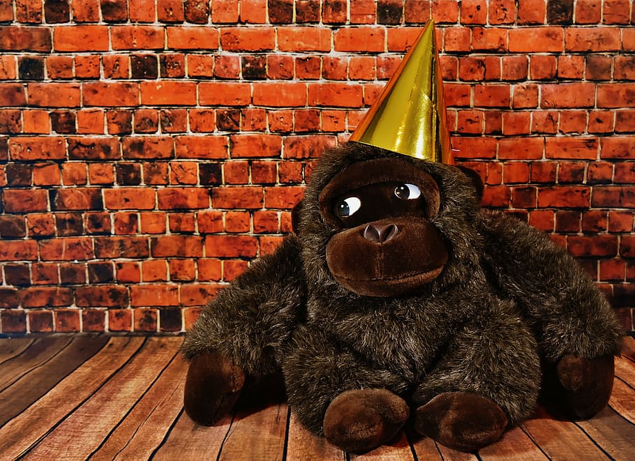 gorilla, party hat, plush, toy, birthday, party, monkey, celebrate, funny, birthday card