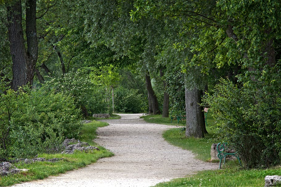 gravel-road-away-nature-forest-path-promenade-green-trees-trail