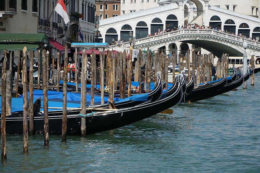 Venesia, gondola, rialto, perahu, air, kanal, kota, Eropah, perjalanan, bersejarah