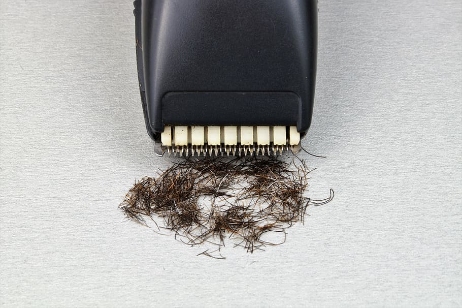 black, hair clipper, gray, surfac, razor, the long-hair cutter, shaver, shave, shaving, care