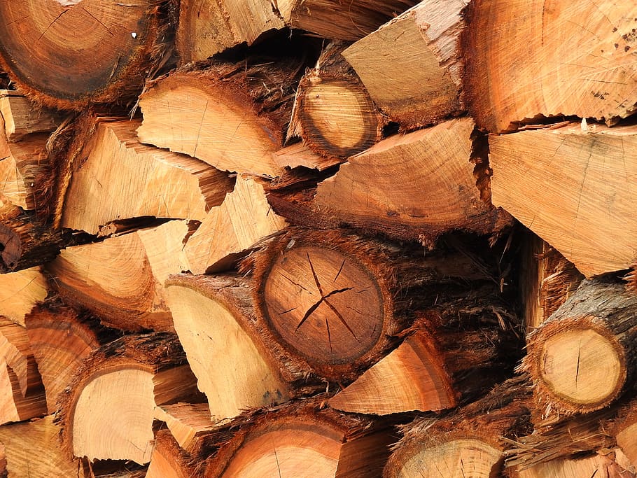 木材, fire, 木材スタック, 背景, 木材の背景, 冬の木, 木材乾燥, 緑の木材乾燥, 糸状樹皮, ユーカリ