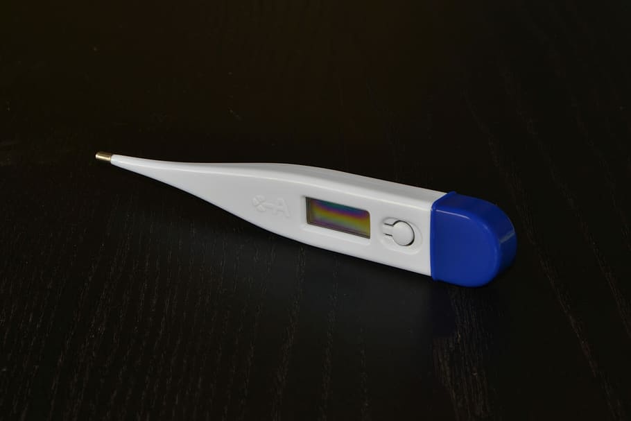 thermometer, digital thermometer, Digital Thermometer, thermometer, temperature, pharmacy, measurement, fever, disease, degrees, medical