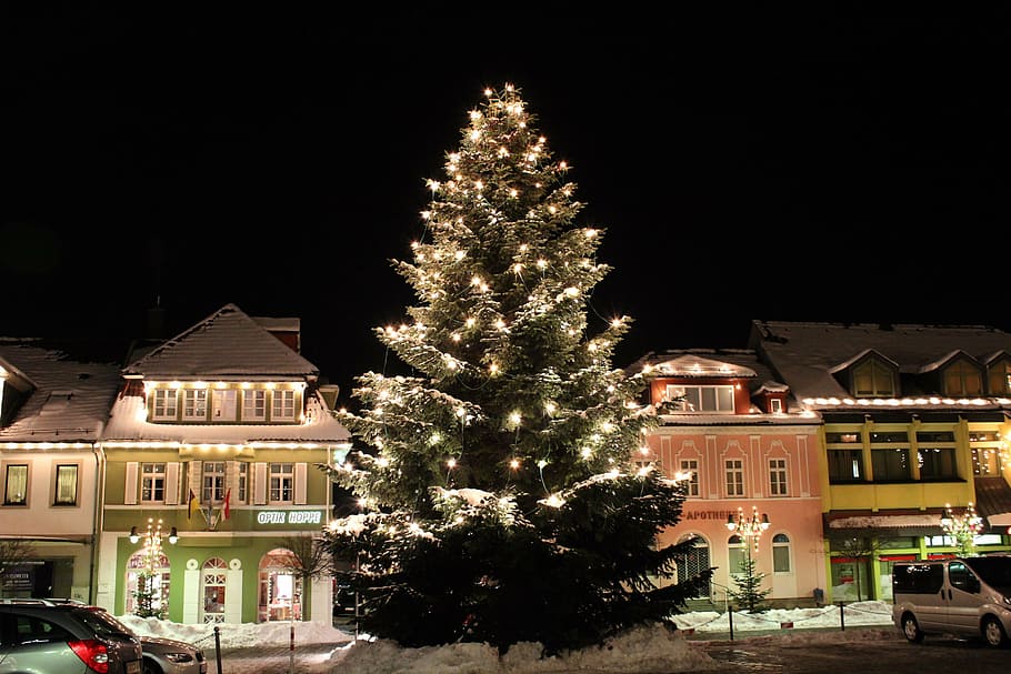 árbol de navidad preiluminado, frente, casa, fotografía nocturna, invierno, noche, paisaje nevado, nieve, iluminado, arquitectura