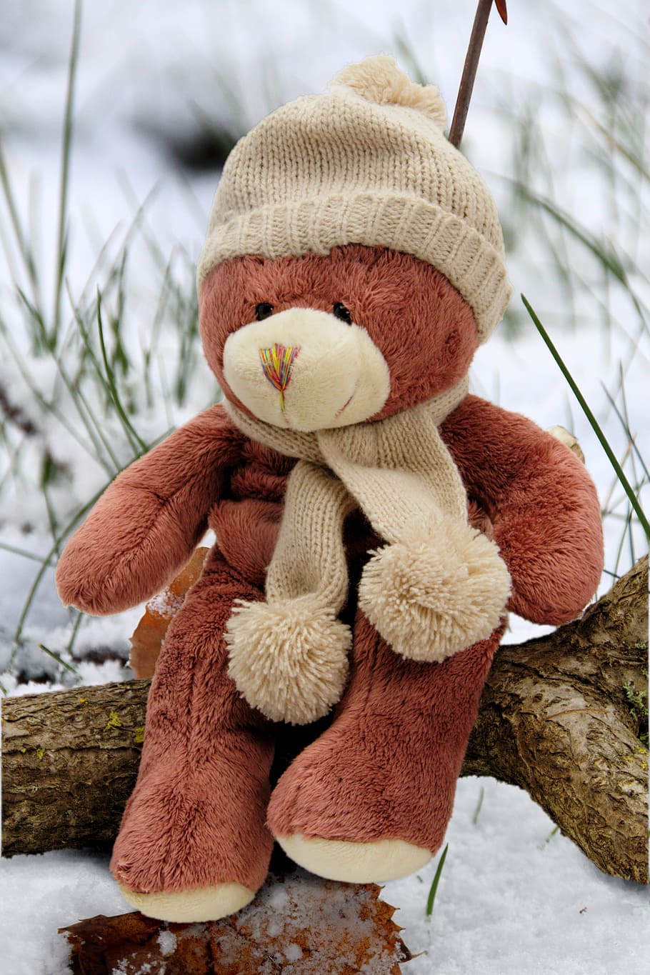 brown, bear, plush, toy, tree branch, bears, teddy, teddy bear, stuffed animal, winter