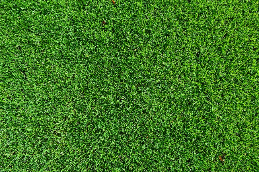 Green Lawn Grass Turf Background Texture Lush Field Wallpaper Pxfuel - Synthetic Grass Wallpaper