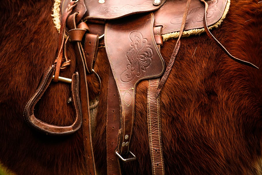 brown, horse, leather horse saddle, saddle, riding, animal, equestrian, stallion, bridle, equine
