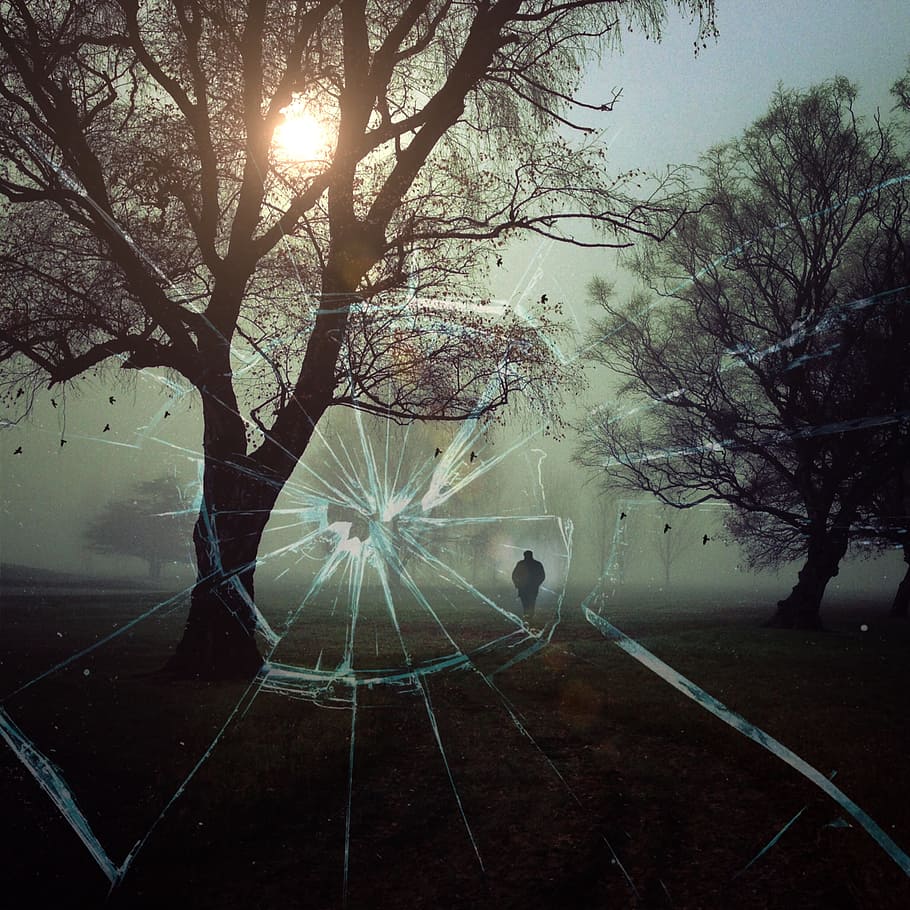 photography, sillhouete, person, standing, two, trees, two trees, disc, shot, assassination attempt
