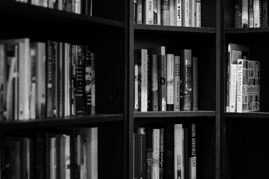 black wooden bookshelves, bookshelves, library, books, education, school, bookshelf, knowledge, university, literature