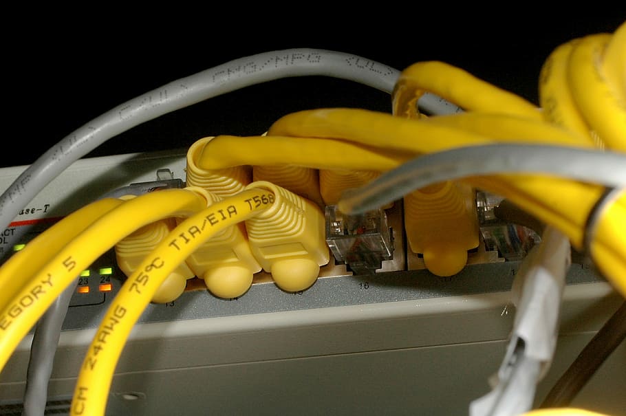 cabos ethernet, conectados, interruptor de rede, ficha, computação, computador, conector, cabos, cabo usb, ciência da computação