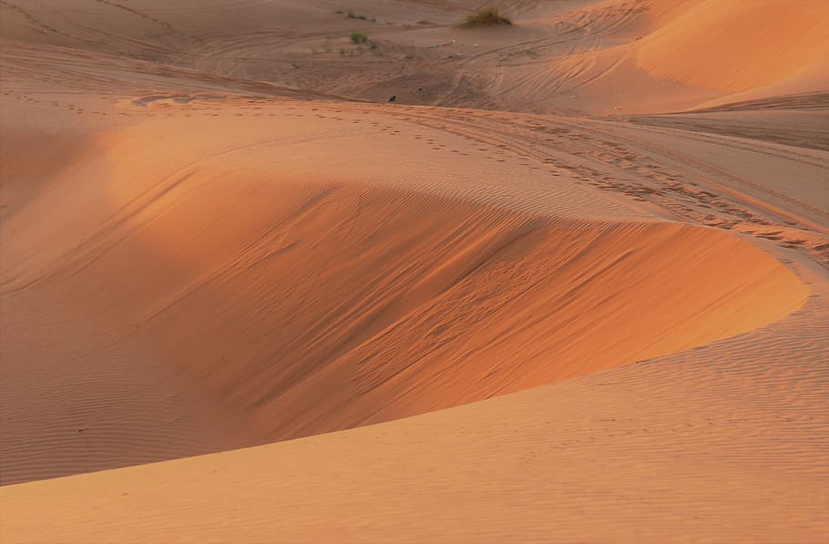 deserto, quente, paisagem, saara, areia, seco, dunas de areia, áfrica, aventura, panorama
