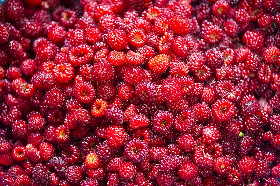 strawberry, strawberry gunung, alam, perbaikan molekuler, kesehatan, makan sehat, merah, makanan dan minuman, buah, makanan