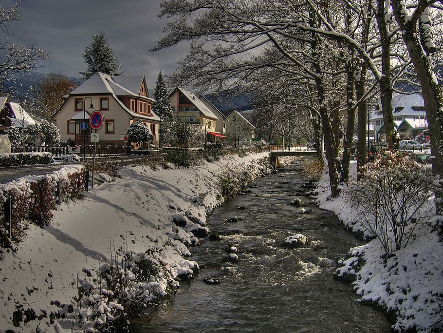 river, roadway, winter, black forest, village, bach, glottertal, home, snow, cold