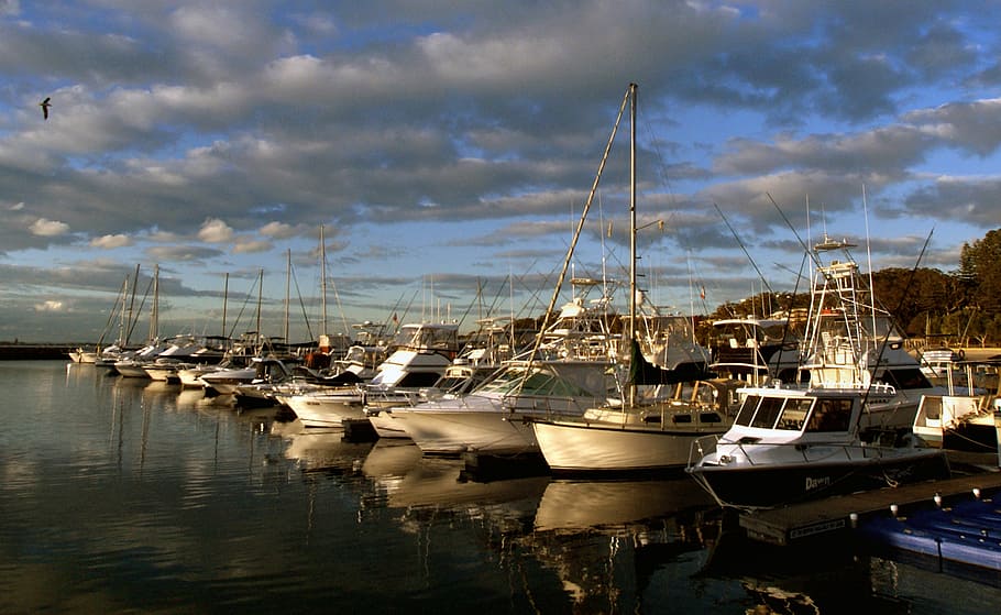 Port, Stephens, Australia, speed, boats, parked, behind, dock, daytime, nautical vessel