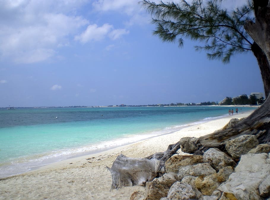 Caribbean, Beach, Beach, Sand, Ocean, Tropical, caribbean, beach, sand, vacation, island, coast