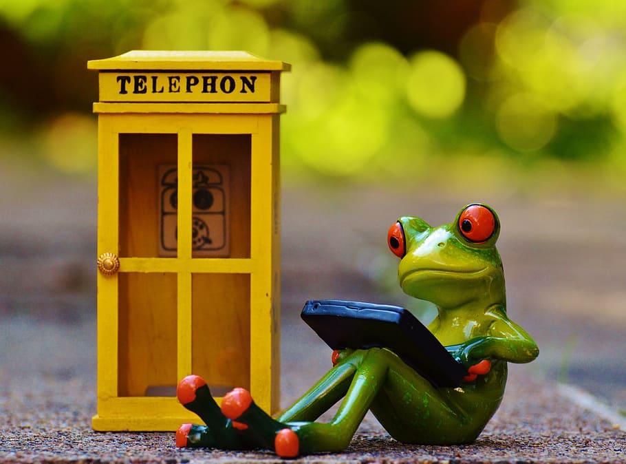 red, eyed, tree frog, sitting, using, smartphone, yellow, wooden, telephon booth, frog